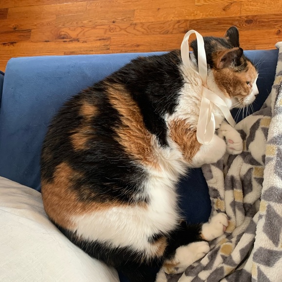 HELLO poshers 🥰 - Picture 5 of 7